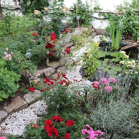 Ferienwohnung Zum Rotem Karpfen Erfurt Ngoại thất bức ảnh